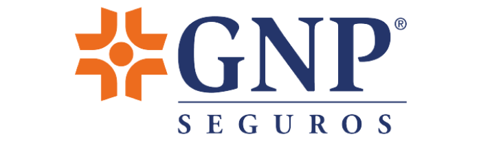 GNP