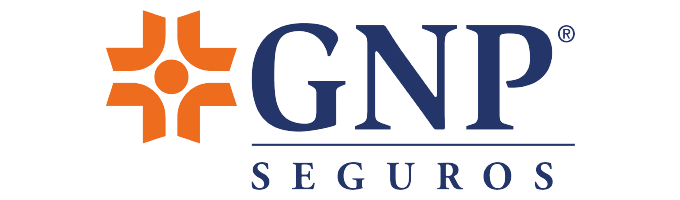 GNP